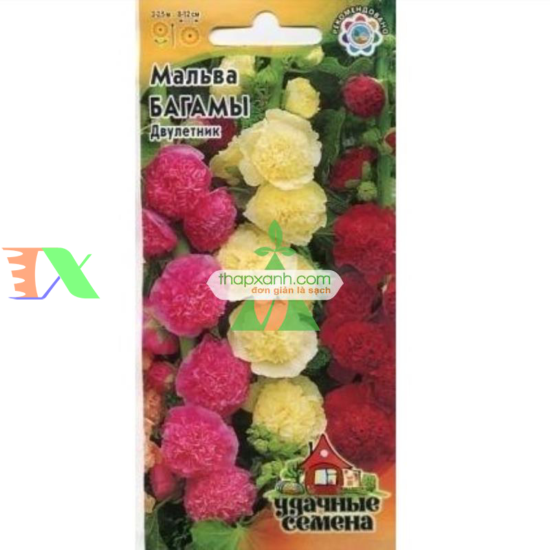 Hạt giống Hoa Mãn Đình Hồng mix