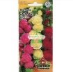 Picture of Hạt giống Hoa Mãn Đình Hồng mix