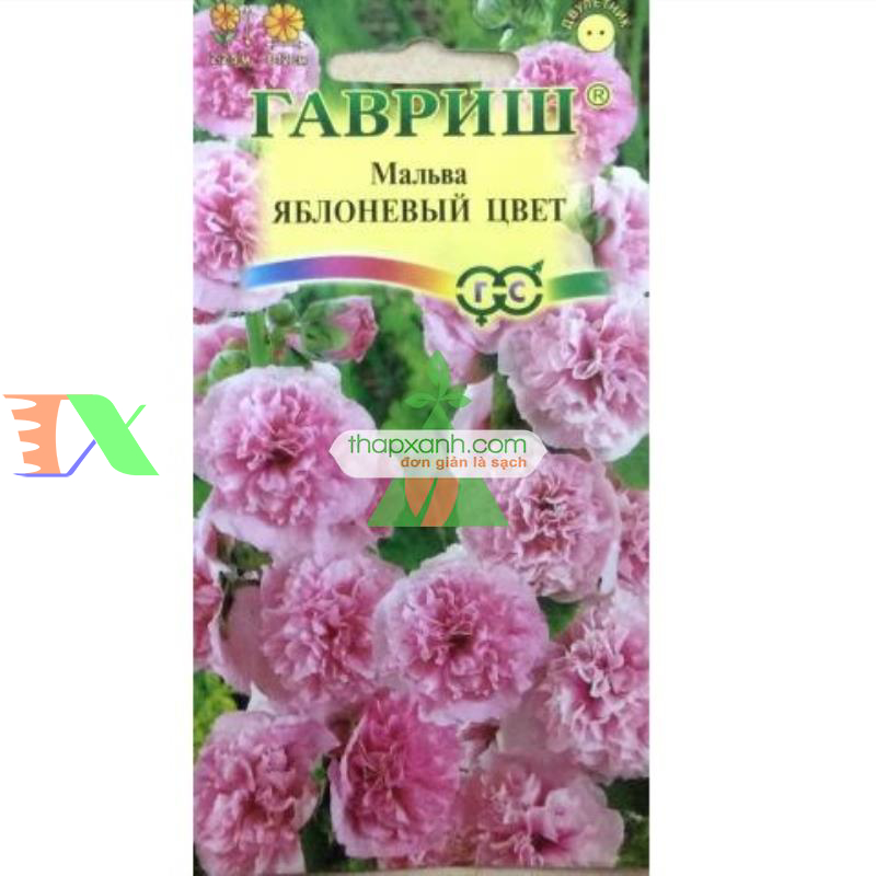 Hạt giống Hoa Mãn Đình Hồng hồng