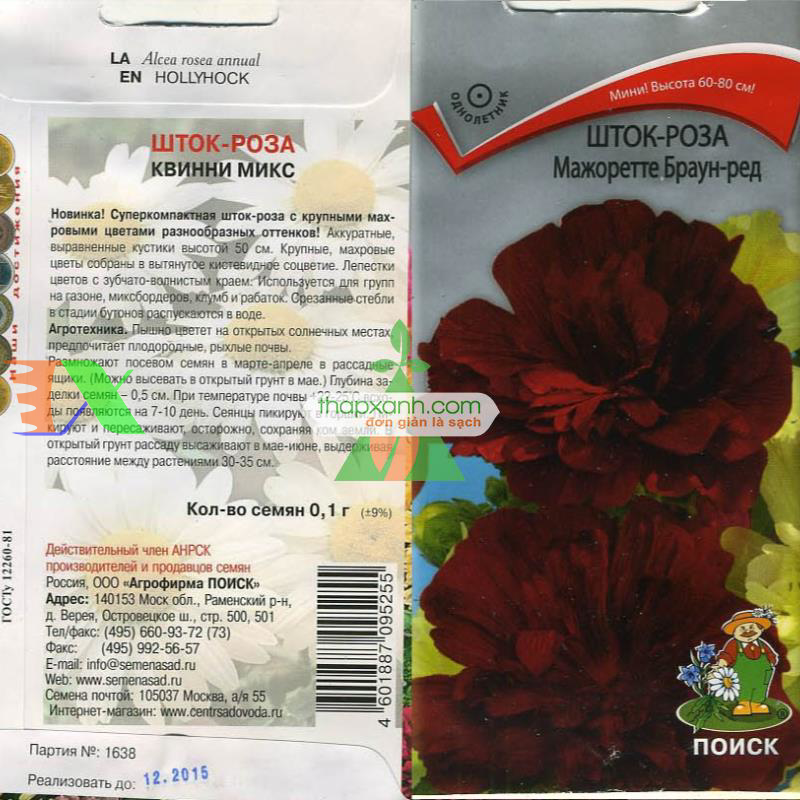 Hạt giống Hoa Mãn Đình Hồng đỏ