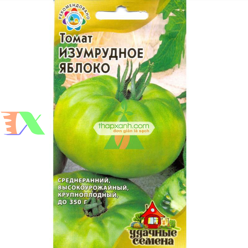 Hạt giống Cà Chua xanh