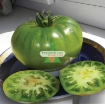 Ảnh của Hạt giống Cà Chua xanh