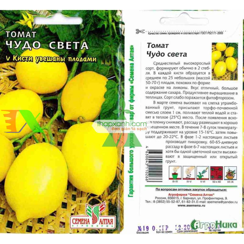 Hạt giống Cà Chua vàng (Cà Chua Chanh)