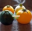 Picture of Hạt giống Bí Ngồi tròn mix