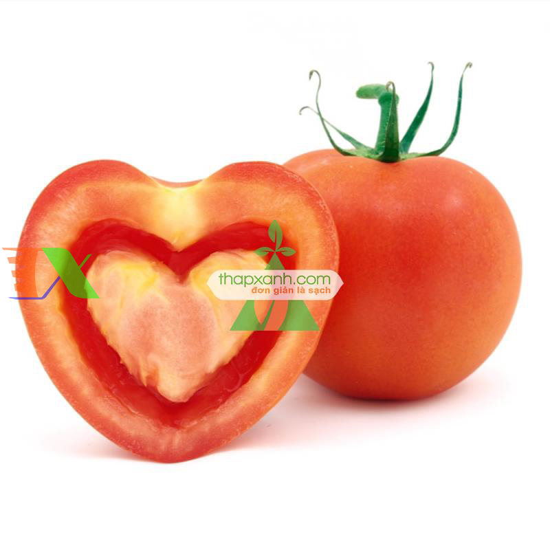 Hạt giống Cà Chua trái tim