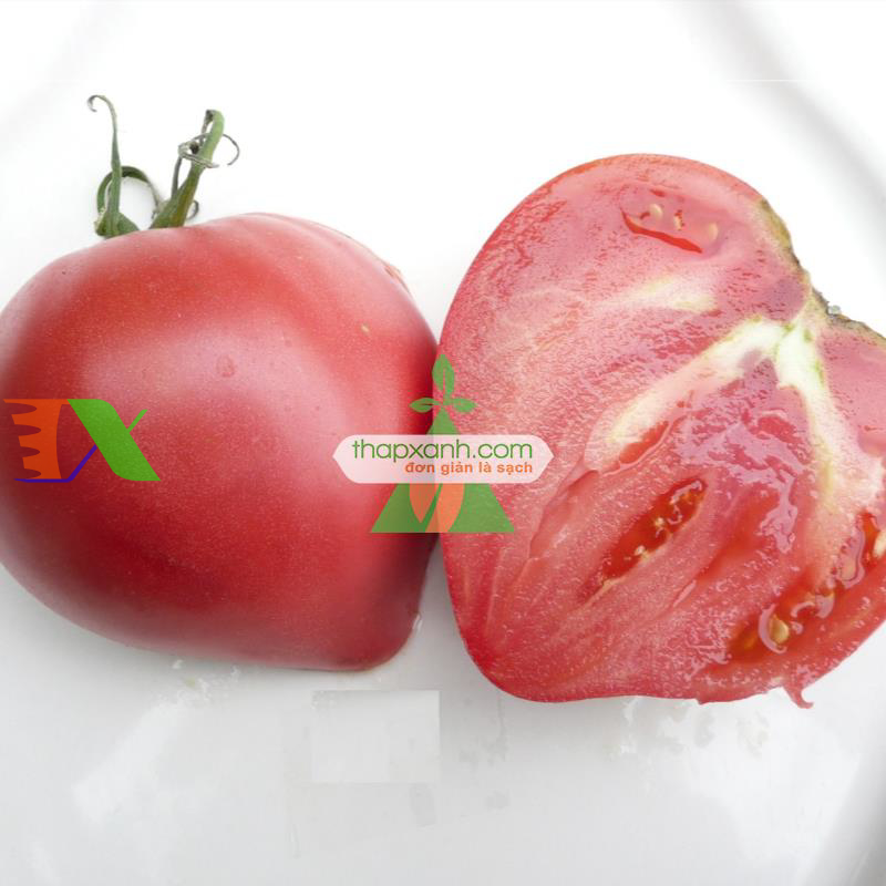 Hạt giống Cà Chua trái tim