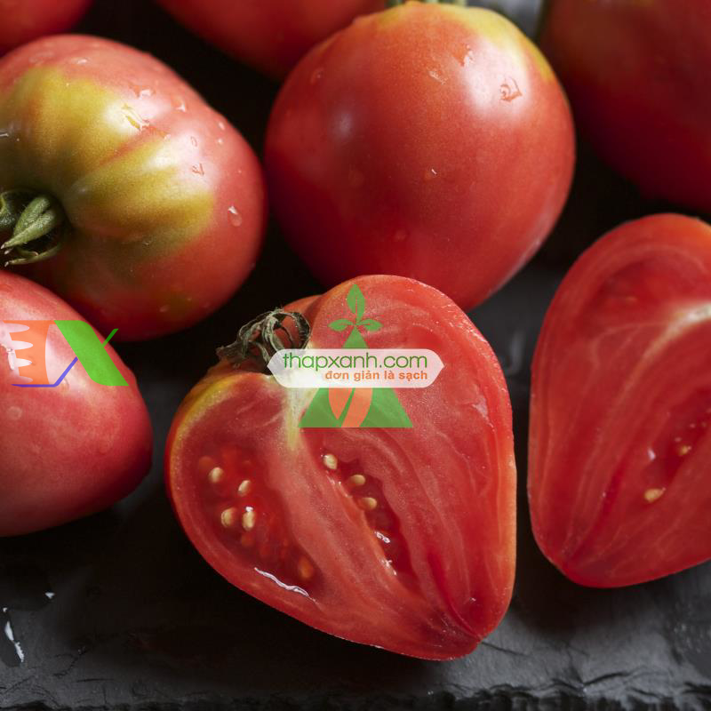 Hạt giống Cà Chua trái tim