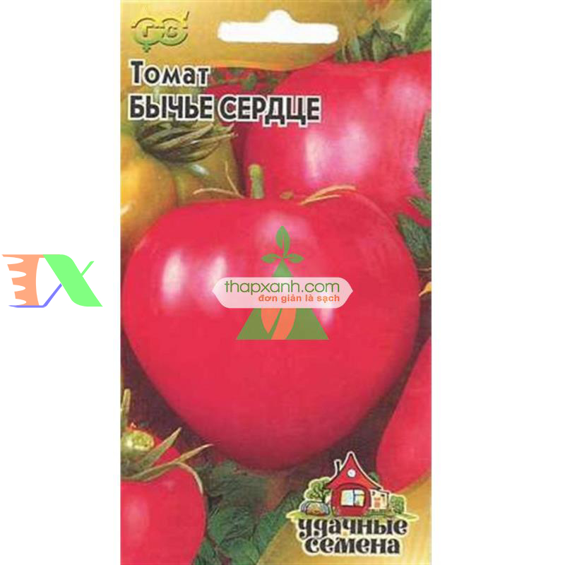 Hạt giống Cà Chua trái tim