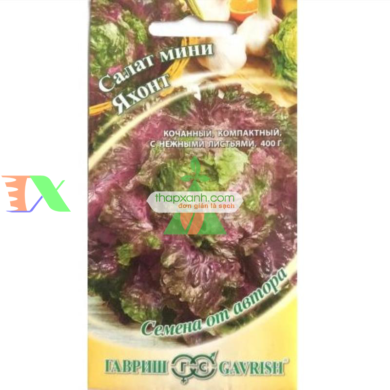 Hạt giống rau Xà Lách xoăn tím