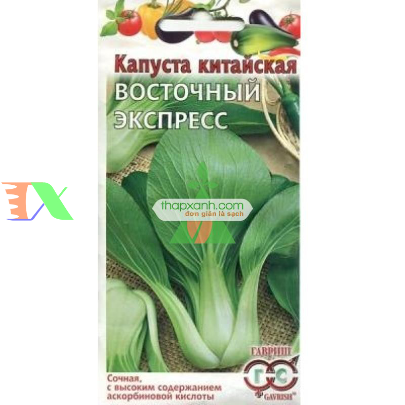Hạt giống rau Cải Thìa (Cải chíp) Nga