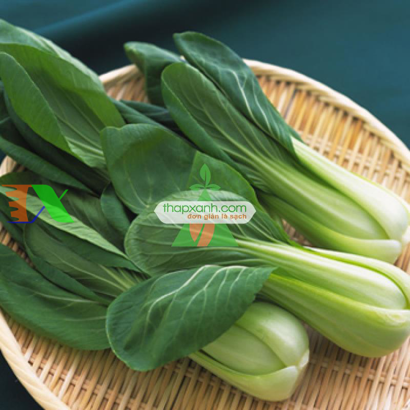 Hạt giống rau Cải Thìa (Cải chíp) Nga