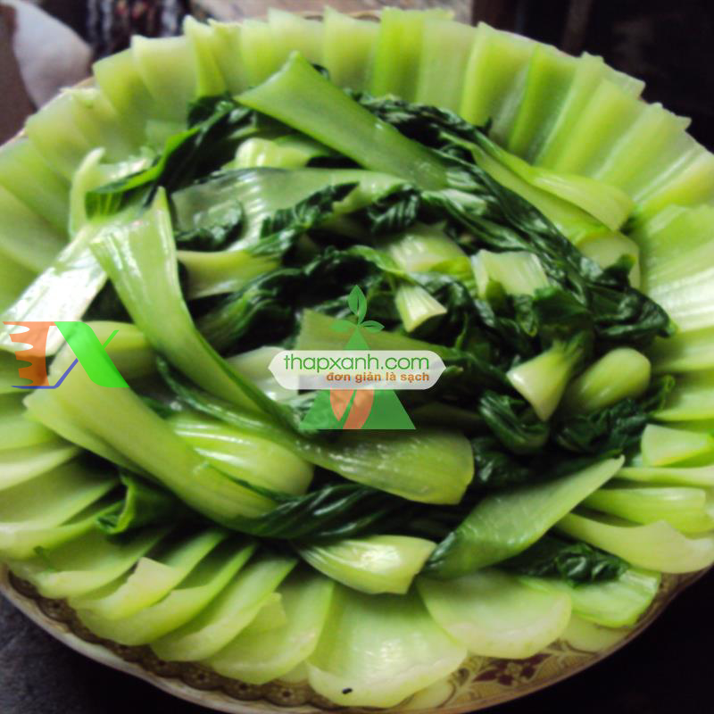 Hạt giống rau Cải Thìa (Cải chíp)