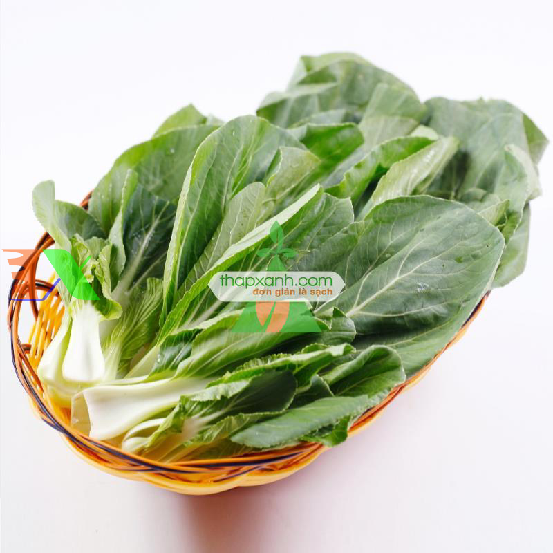 Hạt giống rau Cải Thìa (Cải chíp)