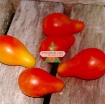 Ảnh của Hạt giống Cà Chua Bi trái lê (đỏ)