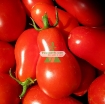 Ảnh của Hạt giống Cà Chua Bi trái lê (đỏ)