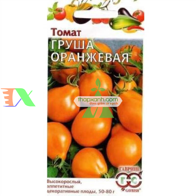 Hạt giống Cà Chua Bi trái lê