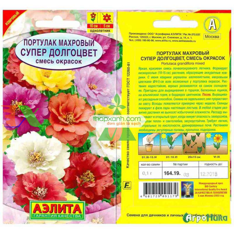 Hạt giống hoa Mười Giờ kép mix