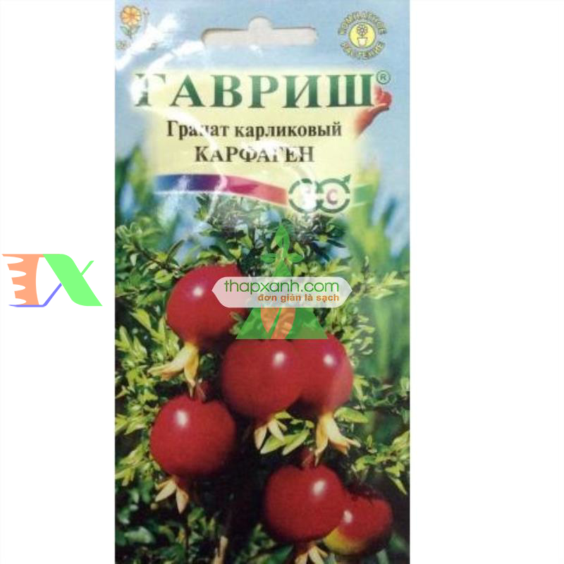 Hạt giống cây Lựu