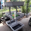 Gambar Kệ Trồng rau 3 tầng 6 chậu