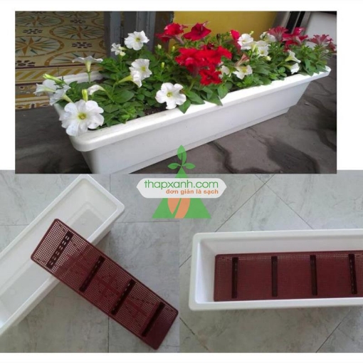 Ảnh của Khay, chậu thông minh trắng (Bán buôn)