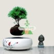 Gambar Chậu cây bay (Air bonsai) (sứ, TX_AB002)