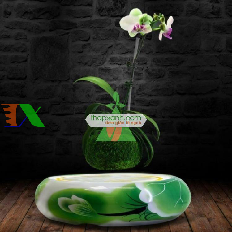 Chậu cây bay (Air bonsai) (sứ, TX_AB003)