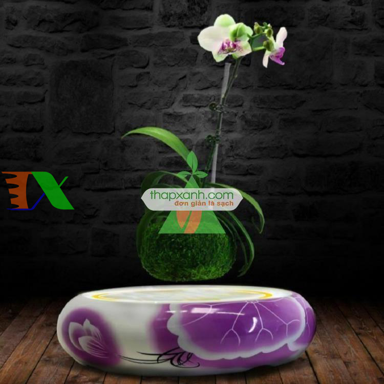 Chậu cây bay (Air bonsai) (sứ, TX_AB003)