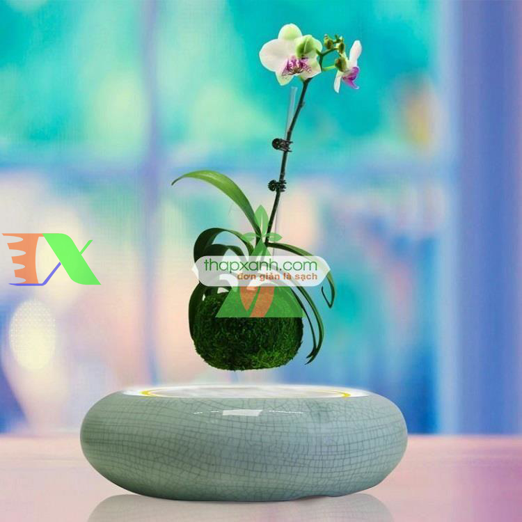 Chậu cây bay (Air bonsai) (sứ, TX_AB003)