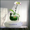 Gambar Chậu cây bay (Air bonsai) (sứ, TX_AB003)
