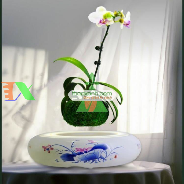 Chậu cây bay (Air bonsai) (sứ, TX_AB003)