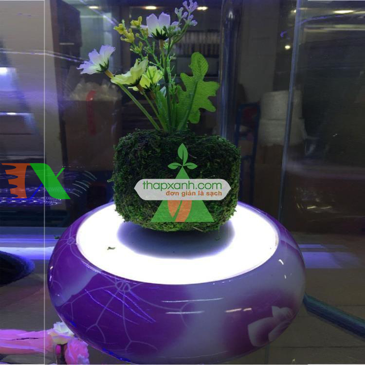 Chậu cây bay (Air bonsai) (sứ, TX_AB003)