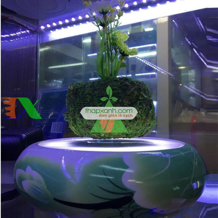 Chậu cây bay (Air bonsai) (sứ, TX_AB003)