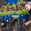 รูปภาพของ Bộ Aquaponics đôi AQ-TX02