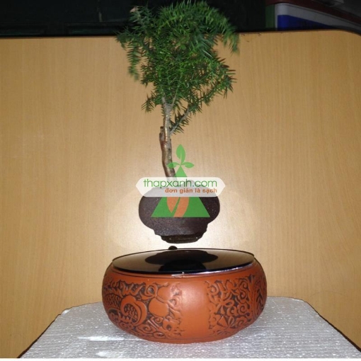 图片 Chậu cây bay (Air bonsai) (sứ, TX_AB006)