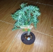 图片 Chậu cây bay (Air bonsai) (sứ, TX_AB006)