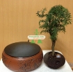 图片 Chậu cây bay (Air bonsai) (sứ, TX_AB006)
