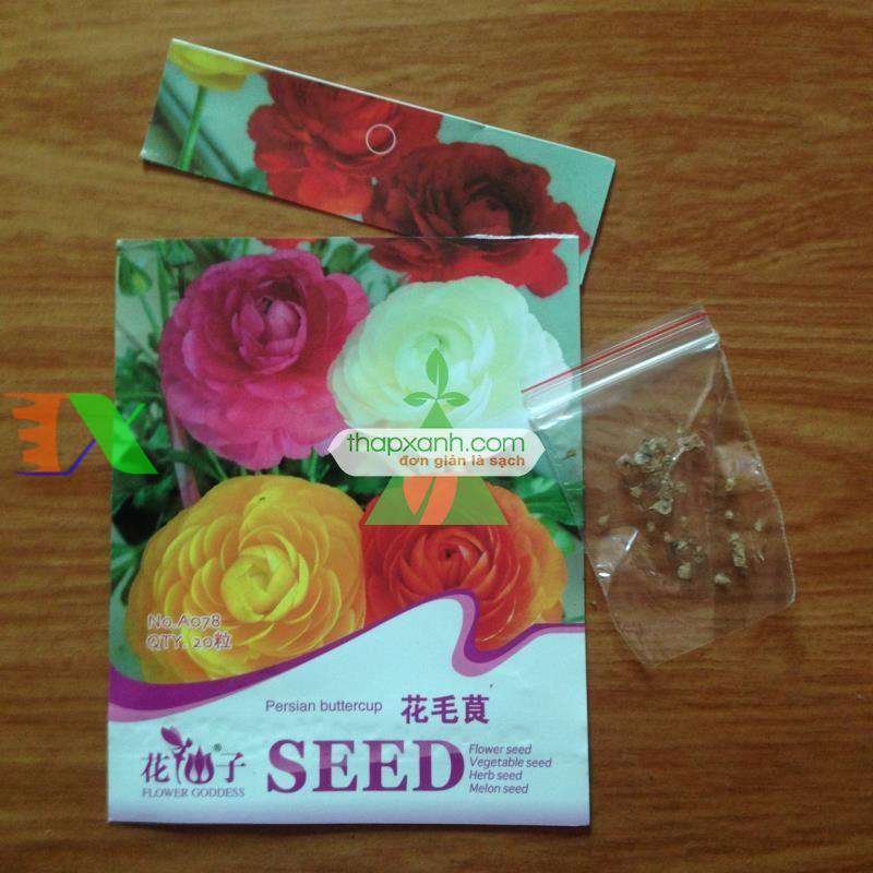 Hạt giống Hoa Hồng Ri Ba Tư