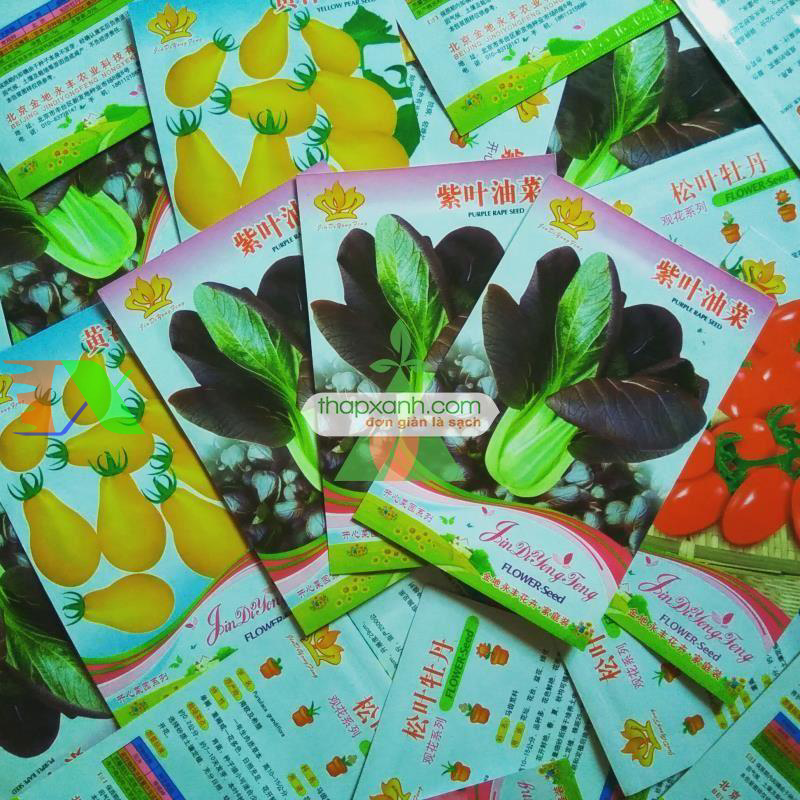 Hạt giống rau Cải Chíp Đỏ