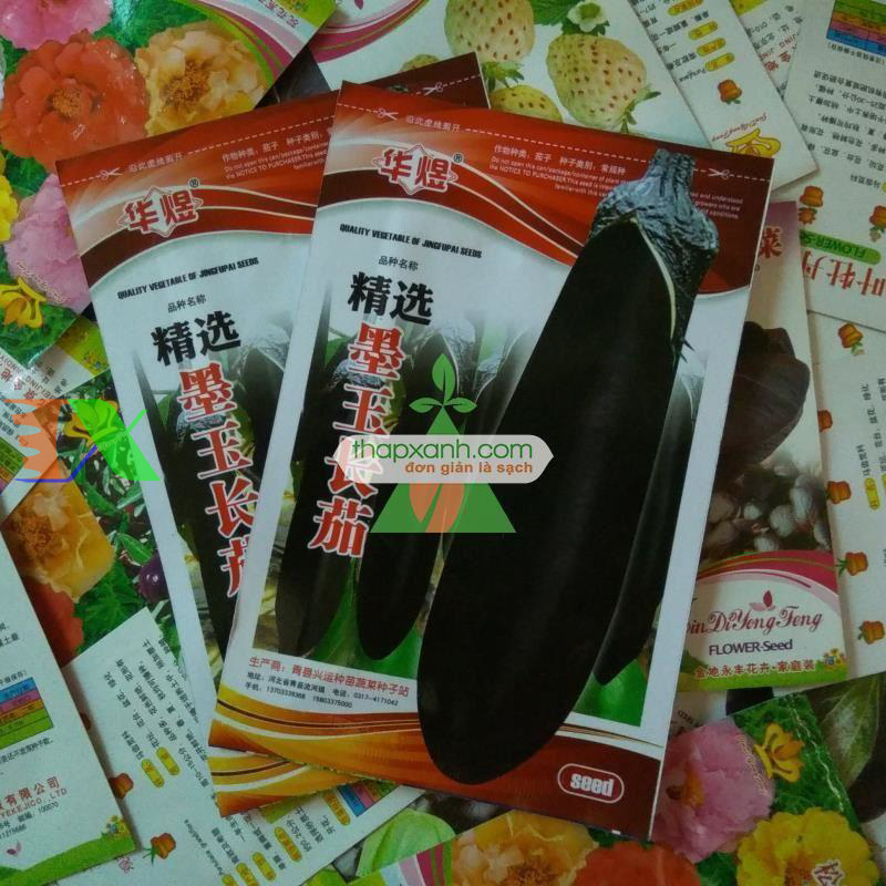 Hạt giống Cà Tím Đen Beauty
