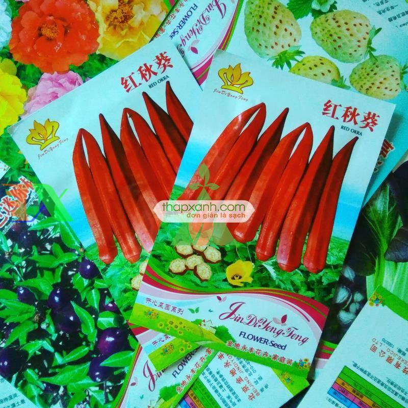 Hạt giống Đậu Bắp Đỏ (Mướp tây)