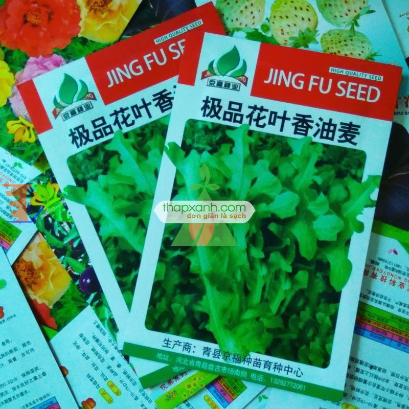 Hạt giống rau Xà Lách Oak Leaf Xanh (Xà Lách Sồi Xanh)