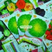 图片 Hạt giống rau Xà Lách Hoàng Đế