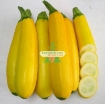 รูปภาพของ Hạt giống Bí Ngồi Vàng