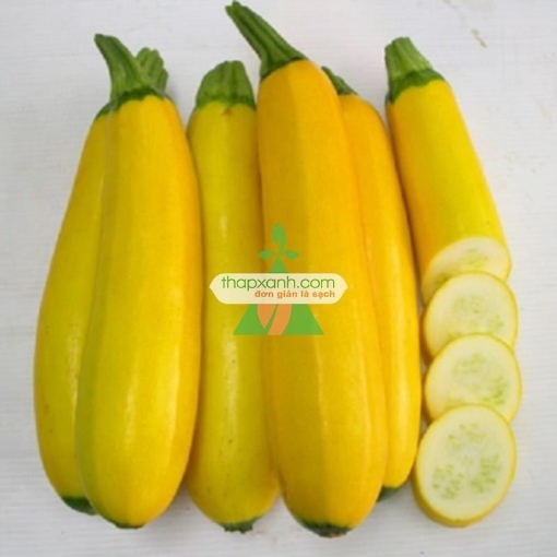 รูปภาพของ Hạt giống Bí Ngồi Vàng