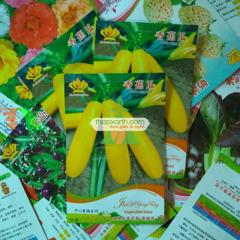 Hạt giống Bí Ngồi Vàng