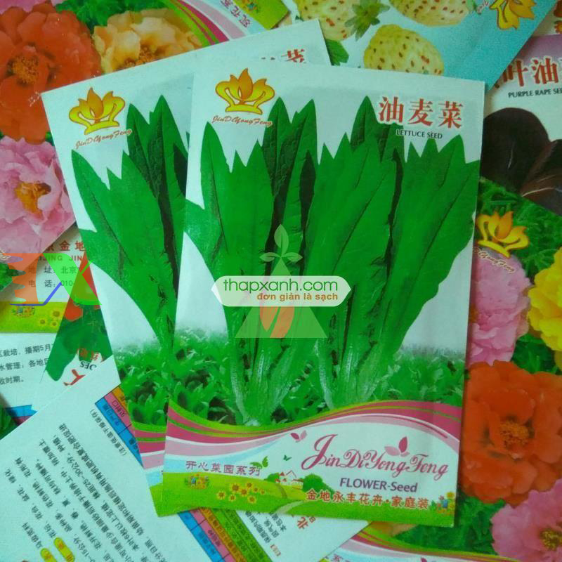 Hạt giống rau Diếp Nếp Xanh (Diếp Thơm)