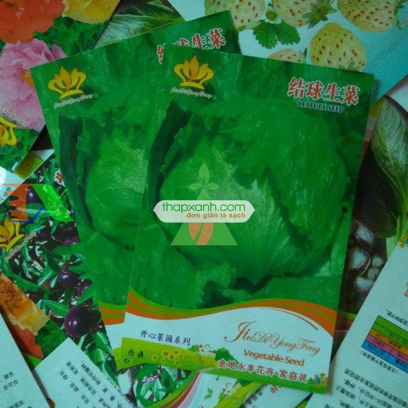 Hạt giống rau Xà Lách Búp Ice Berg (Xà Lách Búp Mỹ)