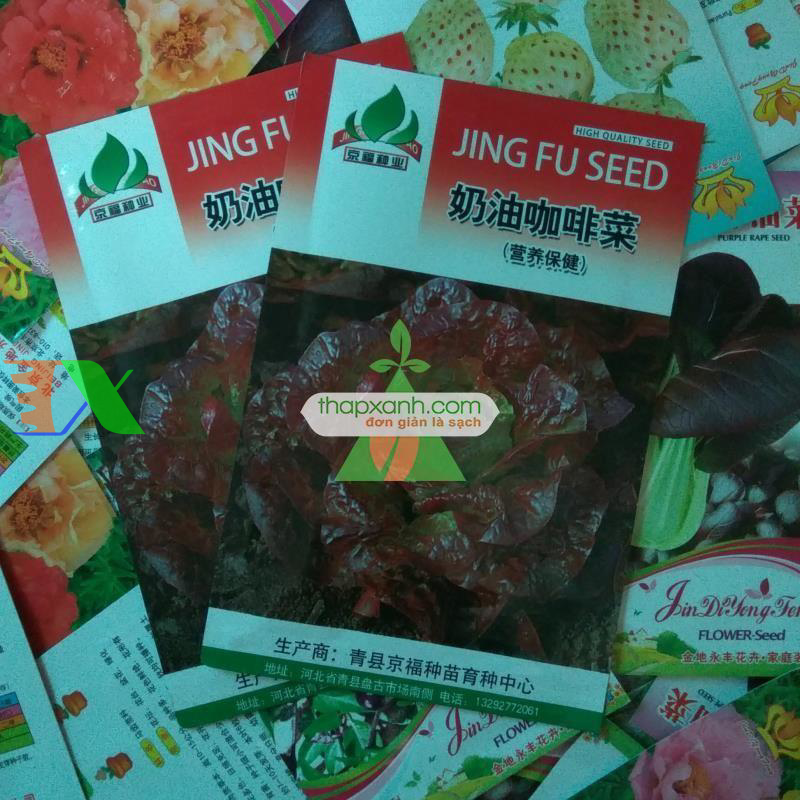 Hạt giống rau Xà Lách Đăm Đỏ (Xà Lách cuộn)