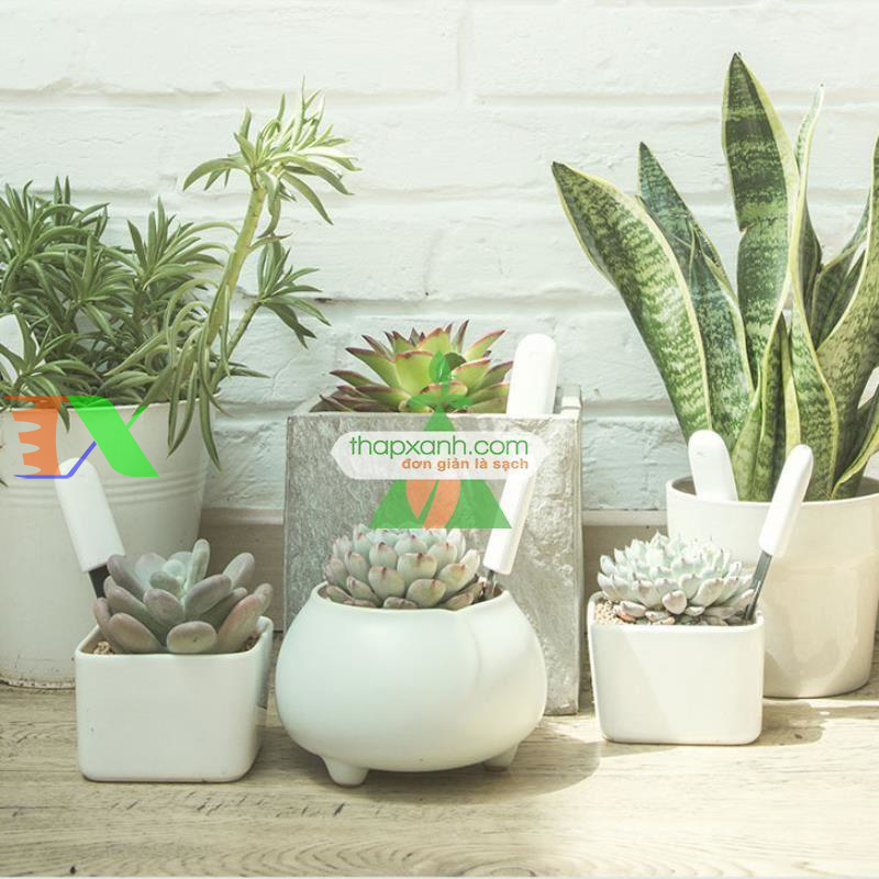 Bút thử nước TDS Xiaomi