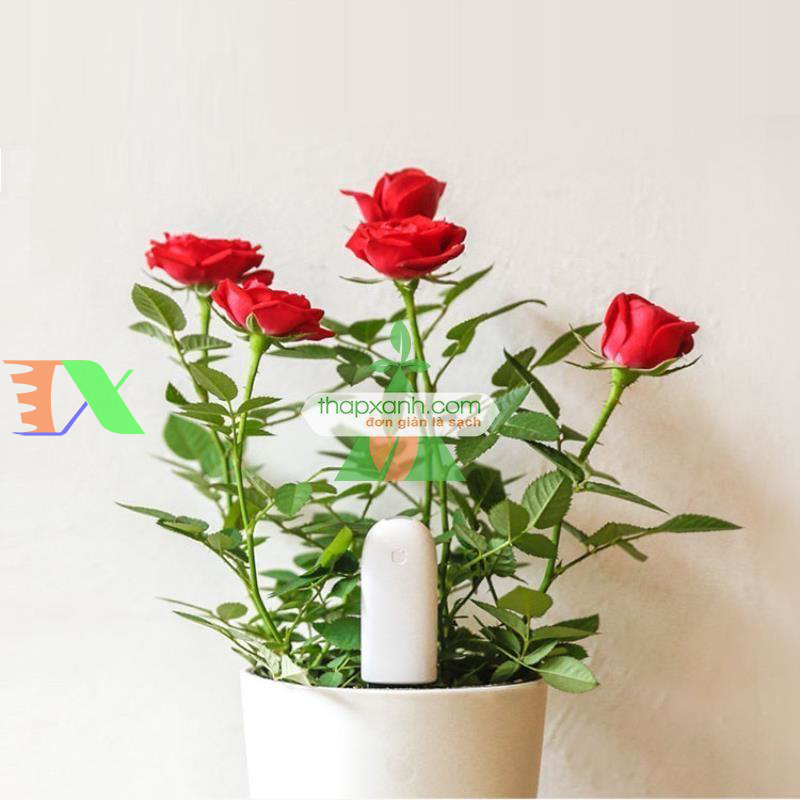 Bút thử nước TDS Xiaomi